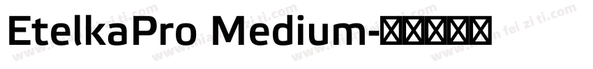 EtelkaPro Medium字体转换